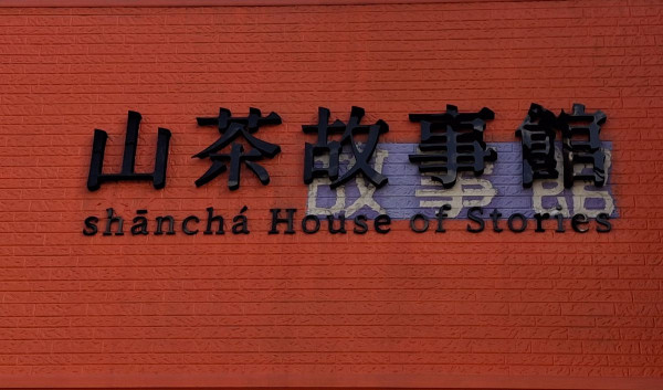 六龜山茶故事館 山茶茶席 認識台灣原生山茶的美好